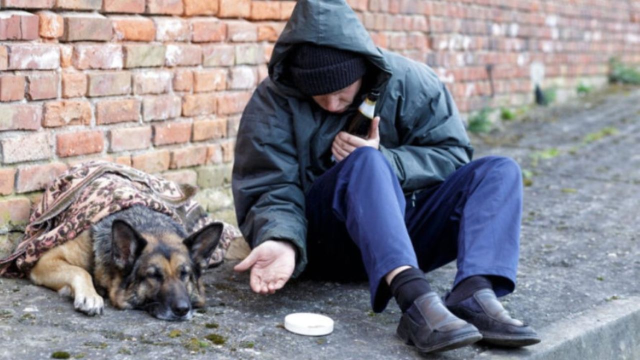 cane sdraiato accanto al padrone