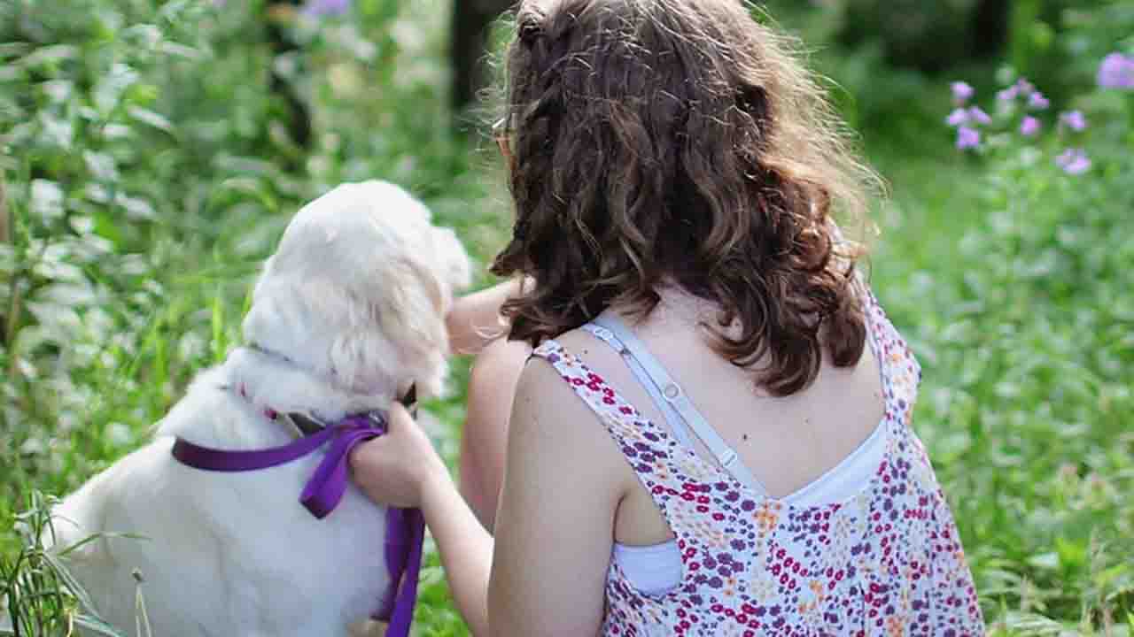 Bambina con cane color miele