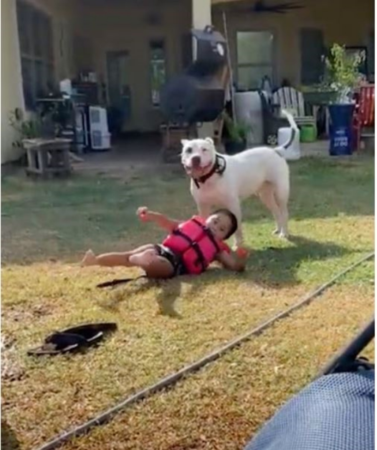 Un cane che sorride insieme ad una bambina