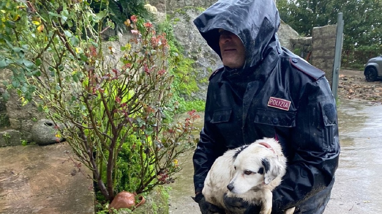 Poliziotto con un cane in braccio