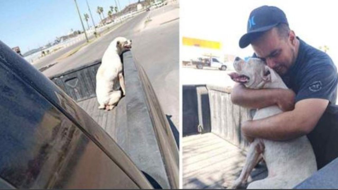 un ragazzo insieme ad un cane di nome Mace