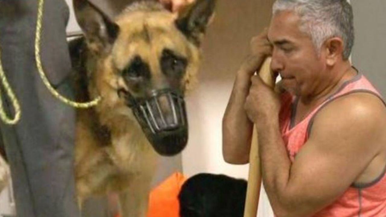 un uomo di nome Cesar con un cane
