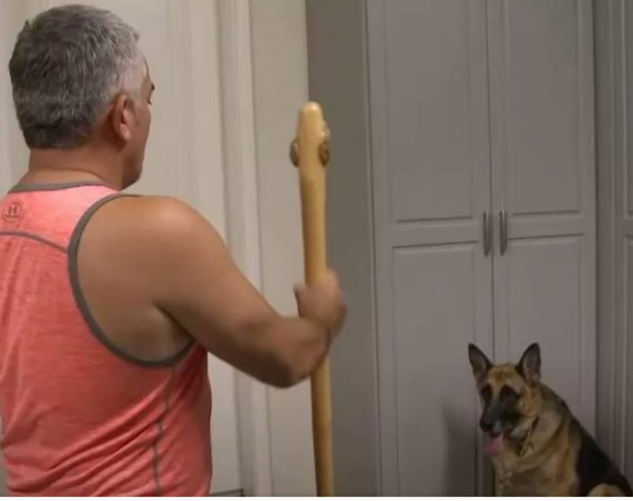 un cane seduto con un uomo con un bastone