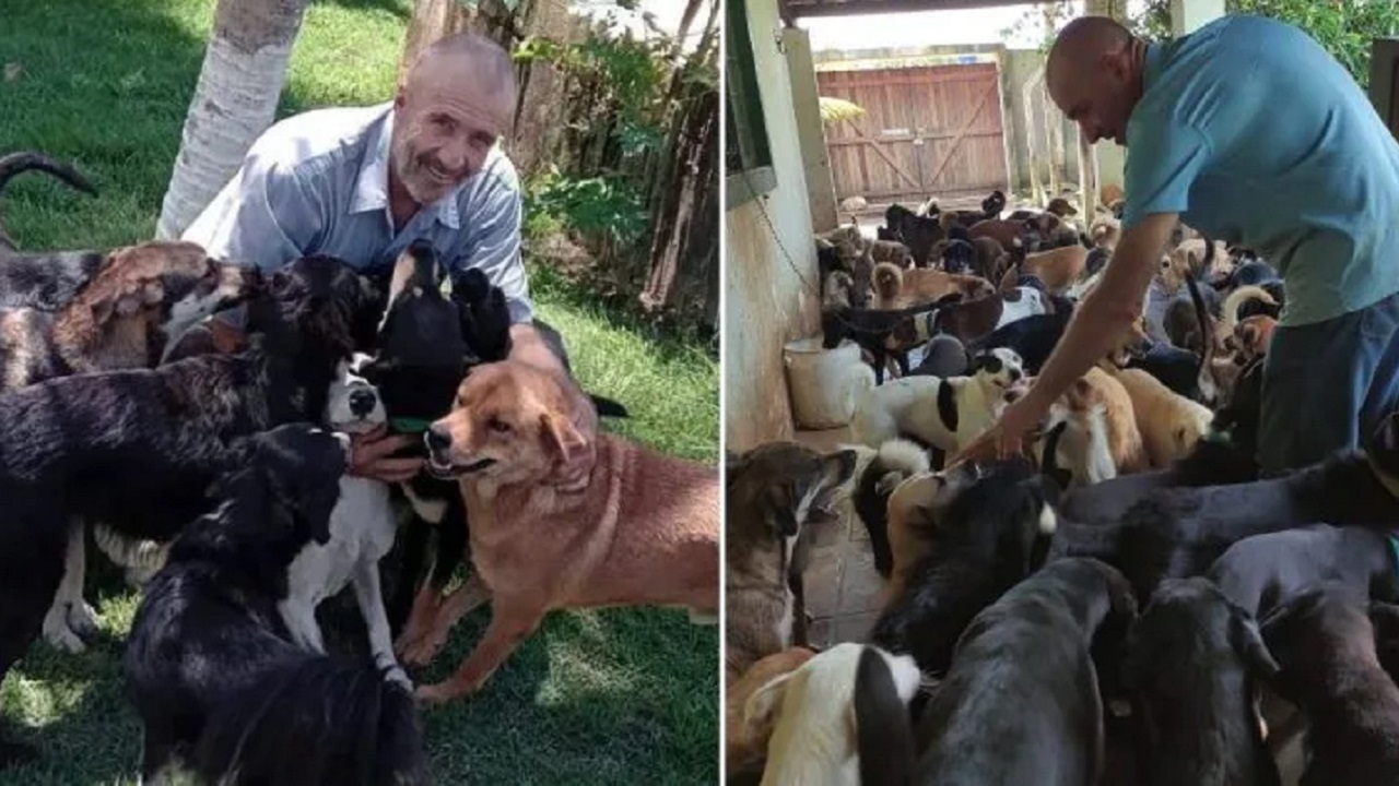 cani randagi salvati da Antônio Anastácio