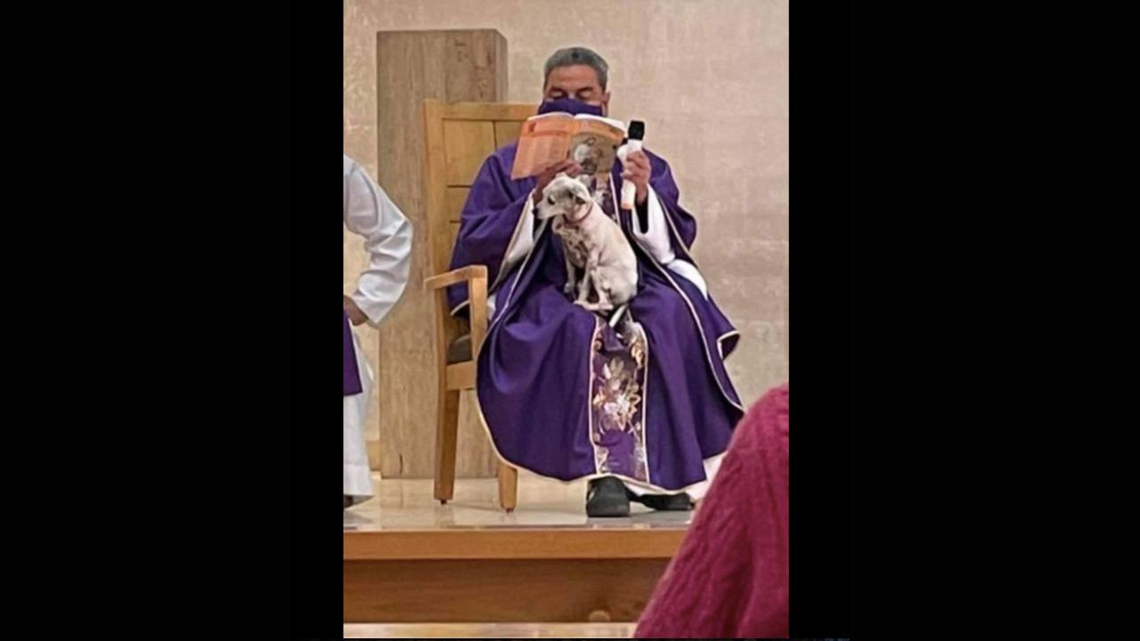 sacerdote messicano ama il suo cane