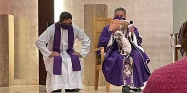 Il sacerdote decide di celebrare messa con il suo cane malato in grembo, pur di non lasciarlo solo