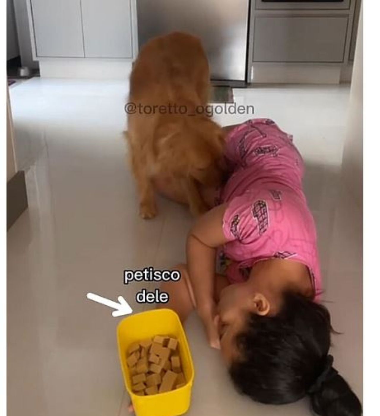 un golden retriever con la sua mamma 