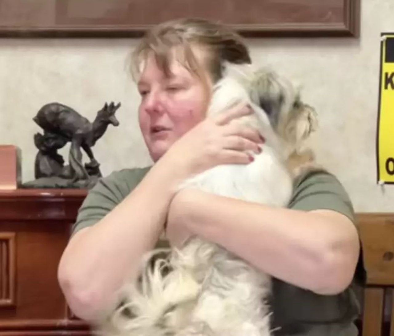 Una cagnolina di nome Truvy in braccio alla sua mamma adottiva