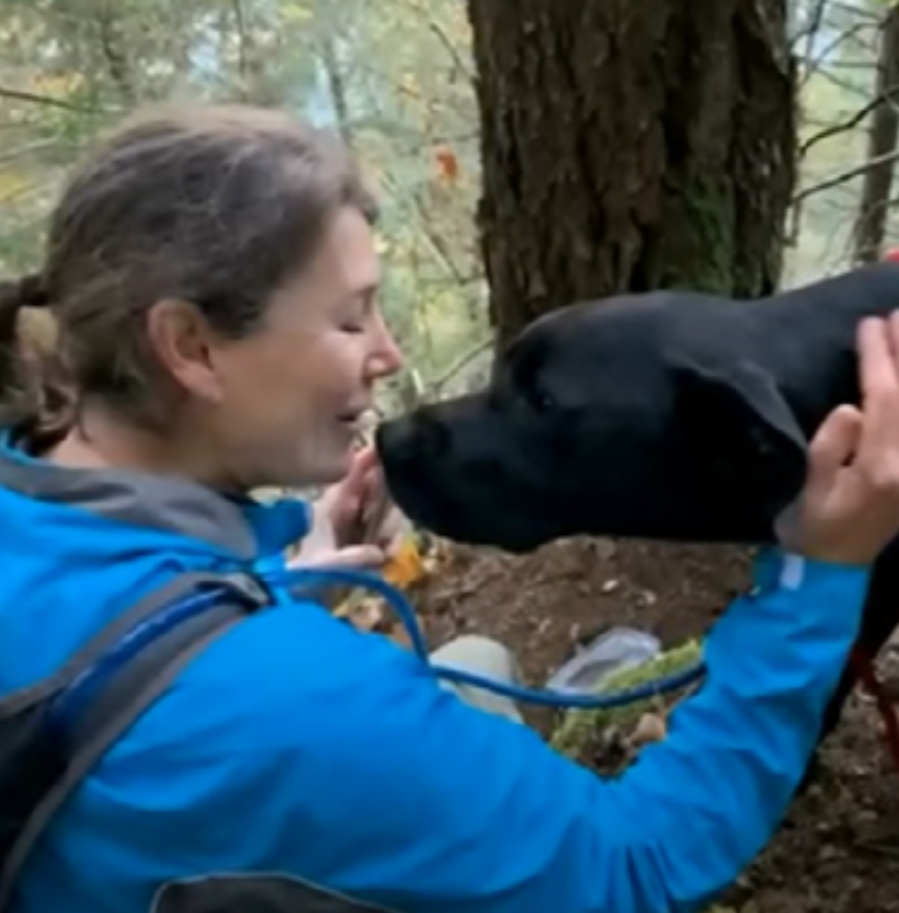 Cane da un bacio ad una donna