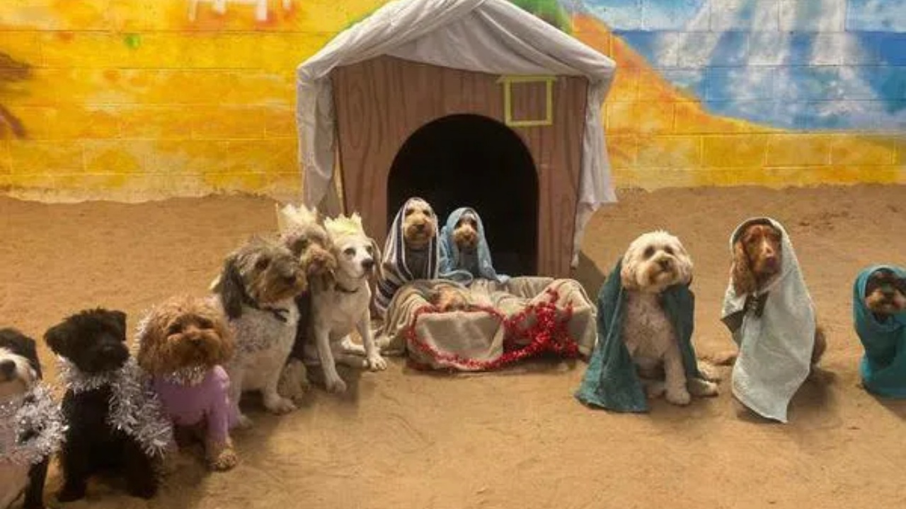 presepe canino