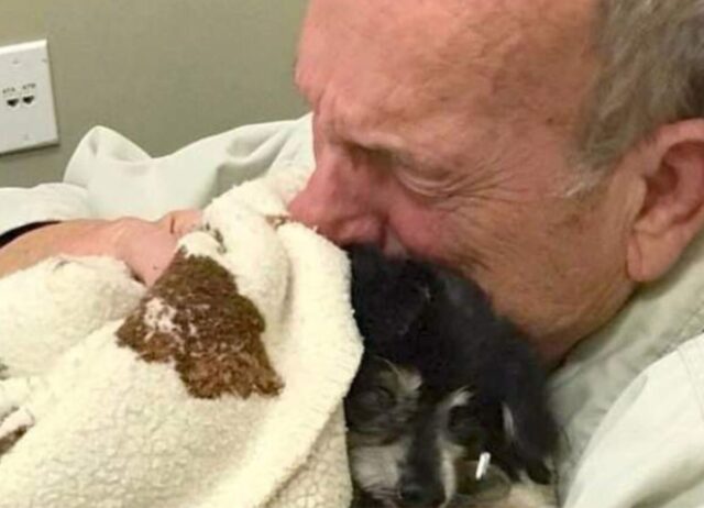 Il cane di 14 anni muore e, poco dopo, il suo proprietario si spegne improvvisamente: la scoperta dei medici
