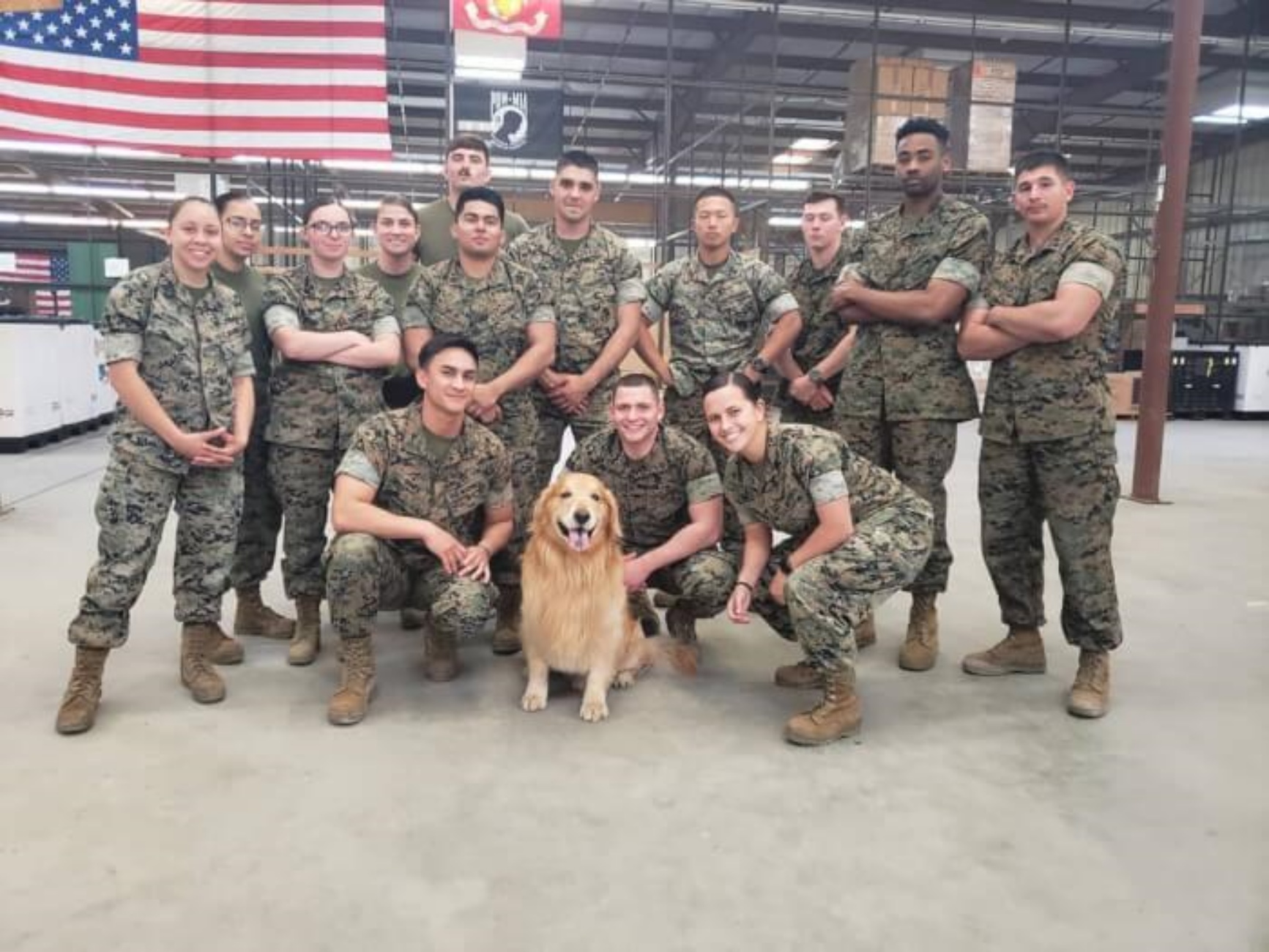 militari e cane