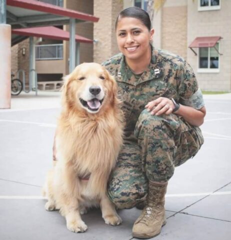 Il cane ha una reazione a dir poco epica quando la sua mamma marines torna dalla missione