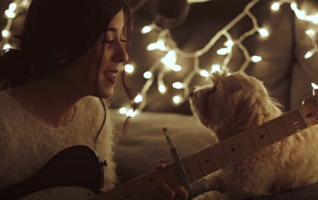 La canzone di Natale cantata con l’amico più dolce: il video musicale è un concentrato di tenerezza
