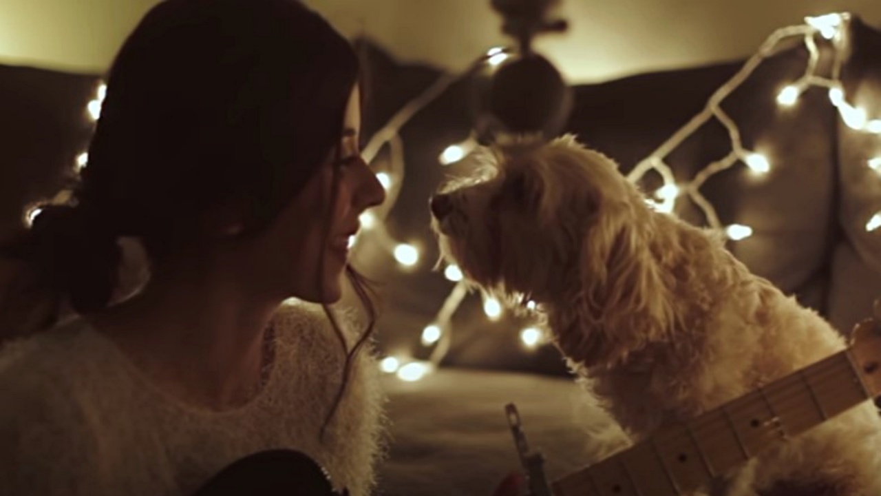 cane e donna a Natale