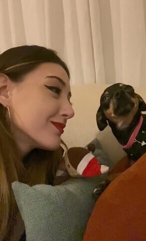 Pinscher fa il rumore più carino quando vede la sua umana baciare il pupazzo