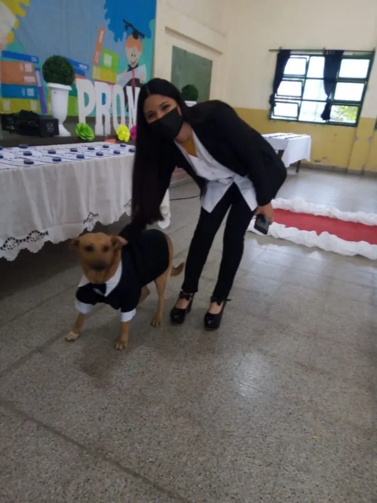 cane e insegnante