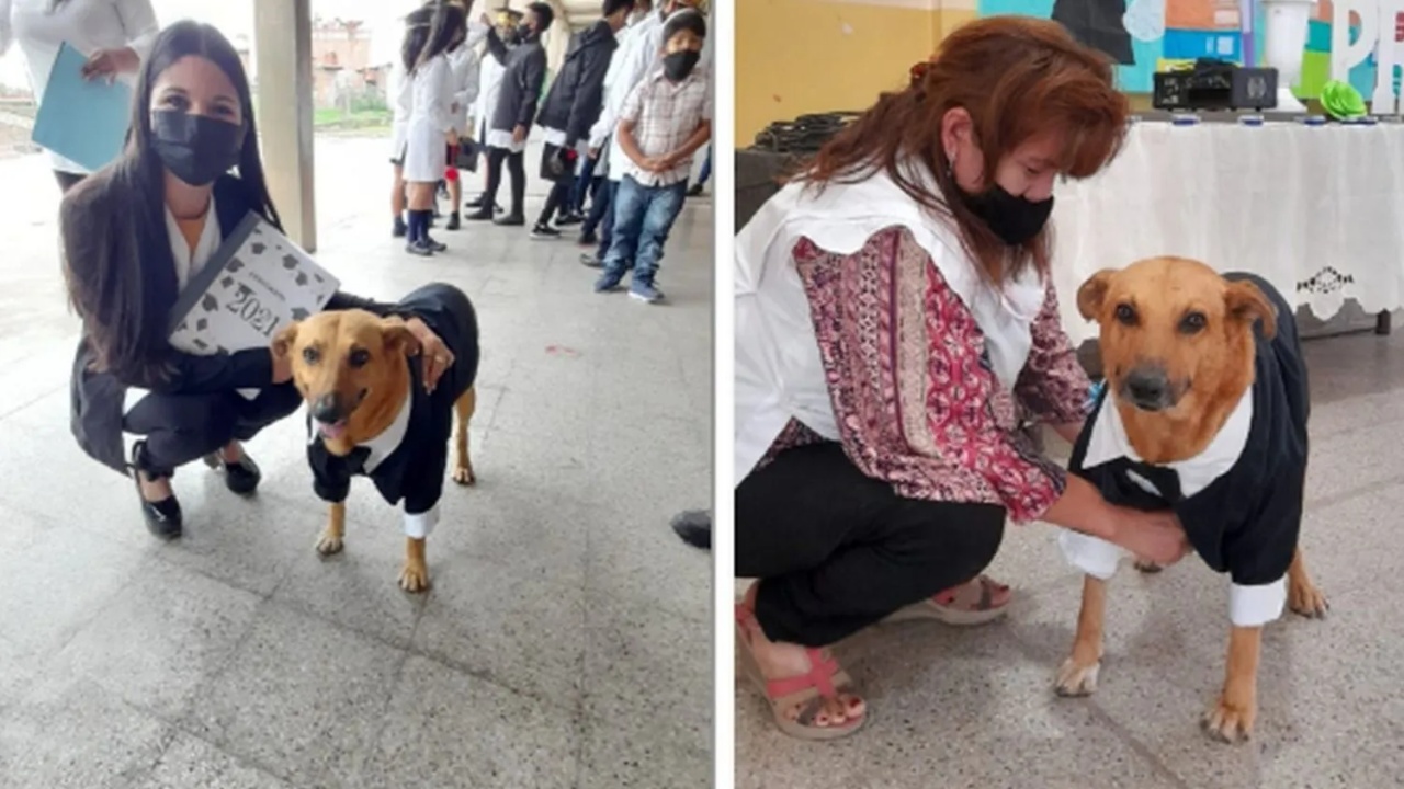 cane e donne