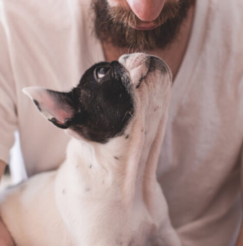 Recenti studi hanno dimostrato che interagire con i cani aumenta l’attività cerebrale: scopriamo di cosa si tratta