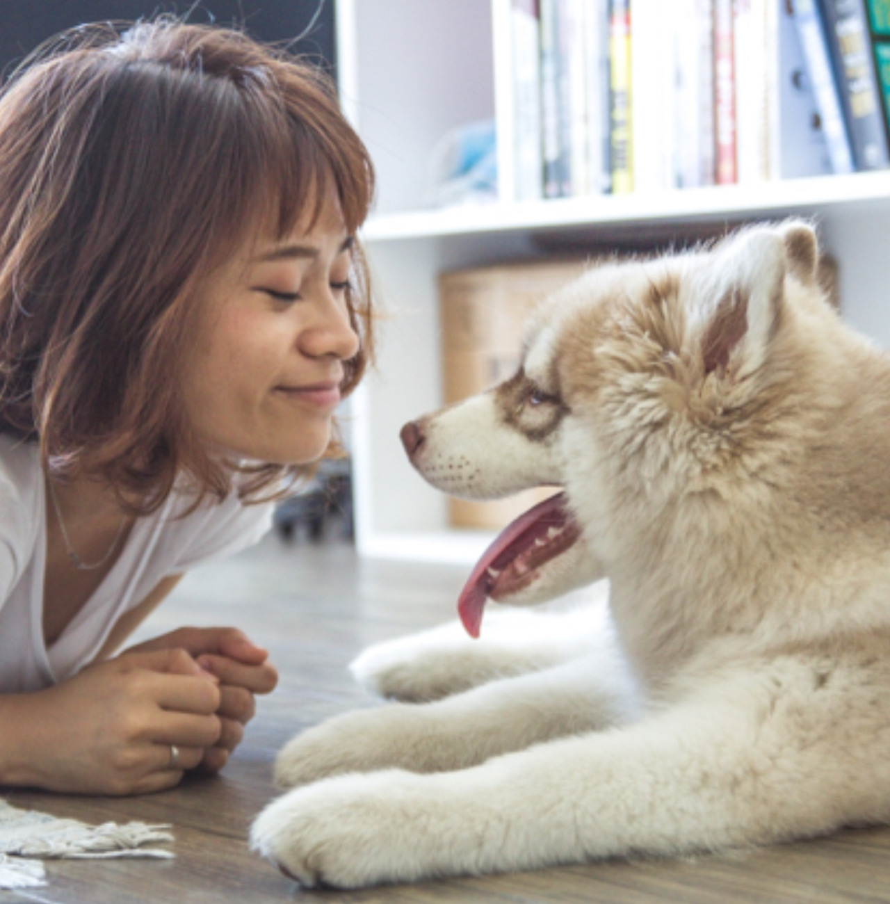 Cane e padrone si sorridono