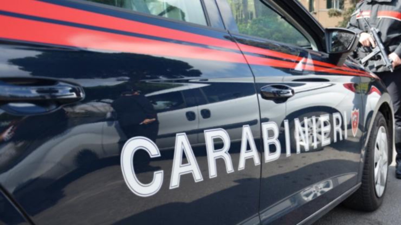 cagnolino salvato dai carabinieri