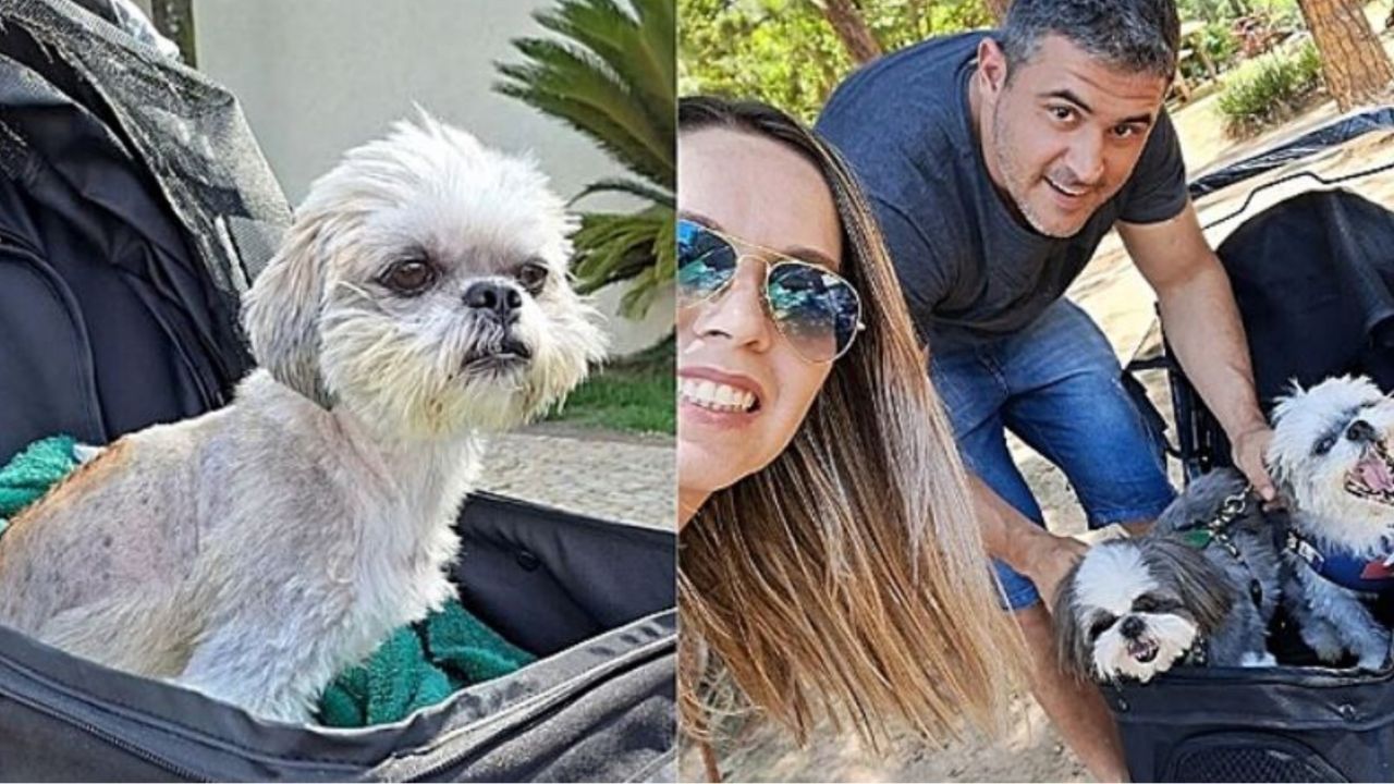 Un cane di nome Bob con la sua famiglia adottiva