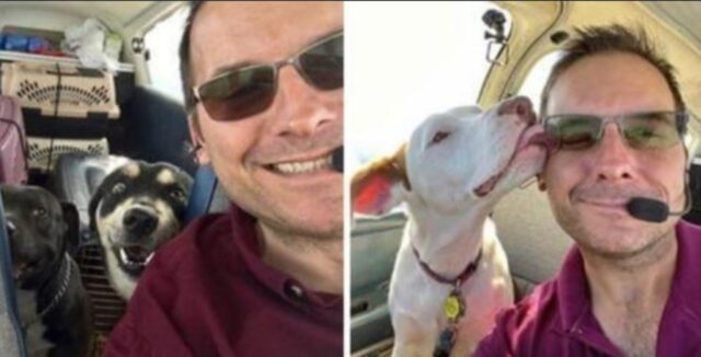 Quest’uomo ha acquistato un aereo pur di riuscire a salvare la vita a quanti più cani possibili