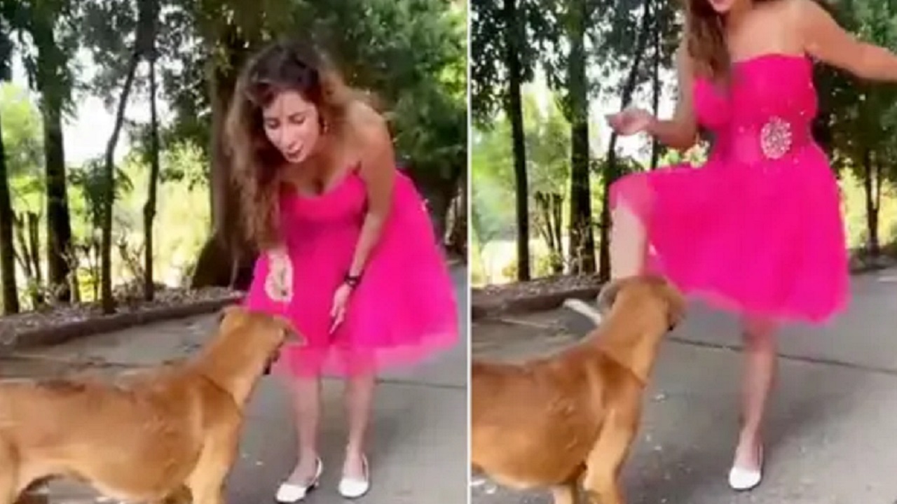 L'influencer Kajal Kiran calcia il cane randagio