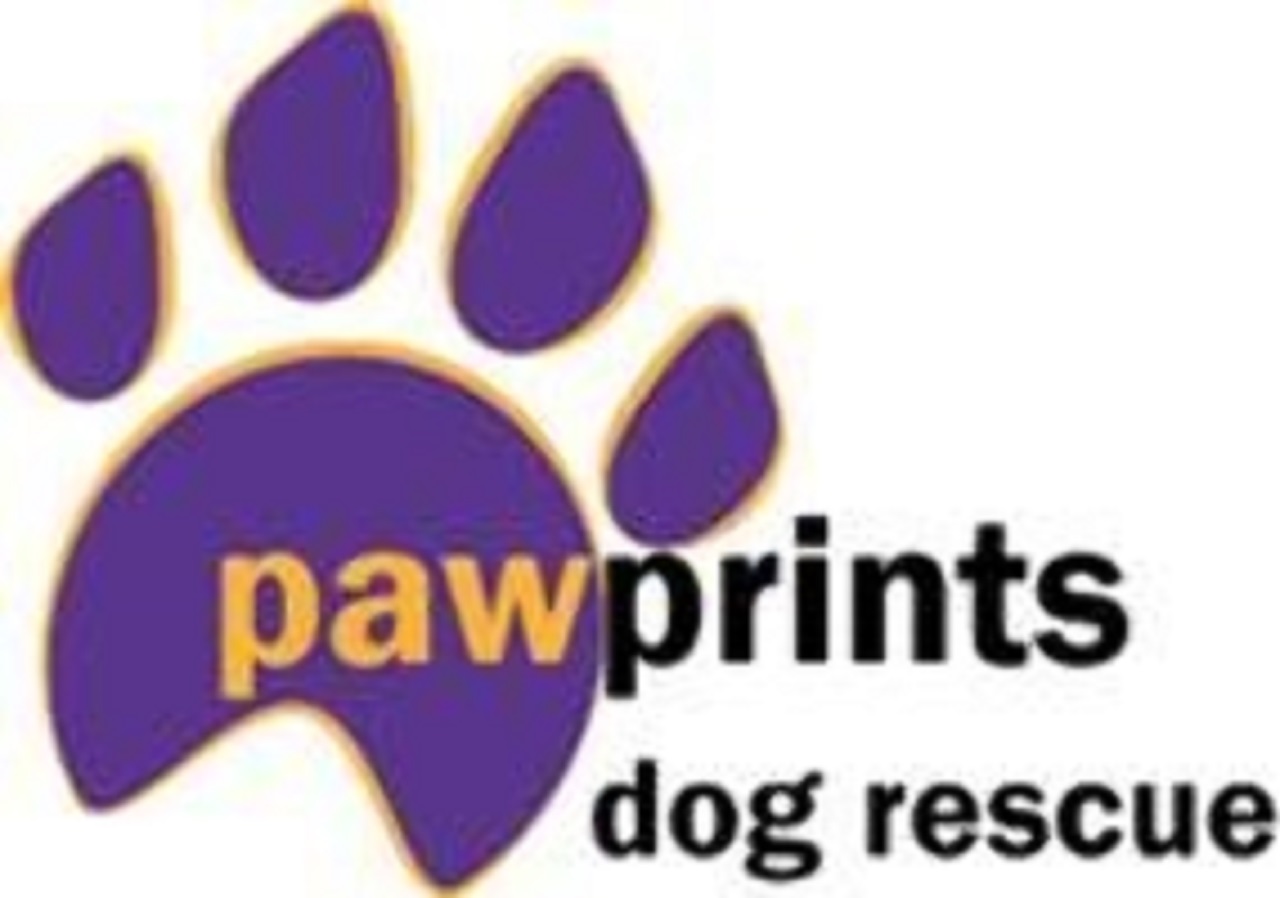 Paw Prints Dog Rescue