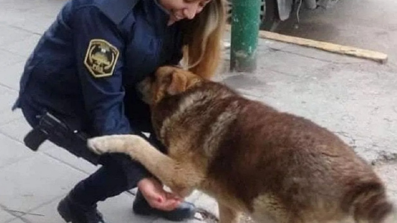 Cane abbraccia l'agente di polizia