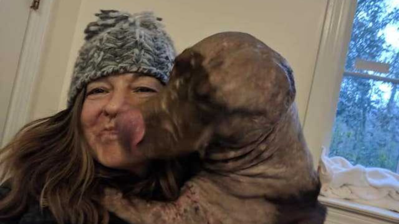 cane abbraccia la sua mamma