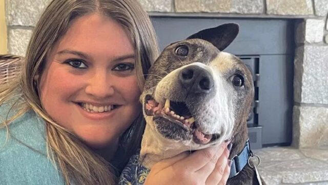Cane pittore con un orecchio solo adottato: Van Gogh trova casa