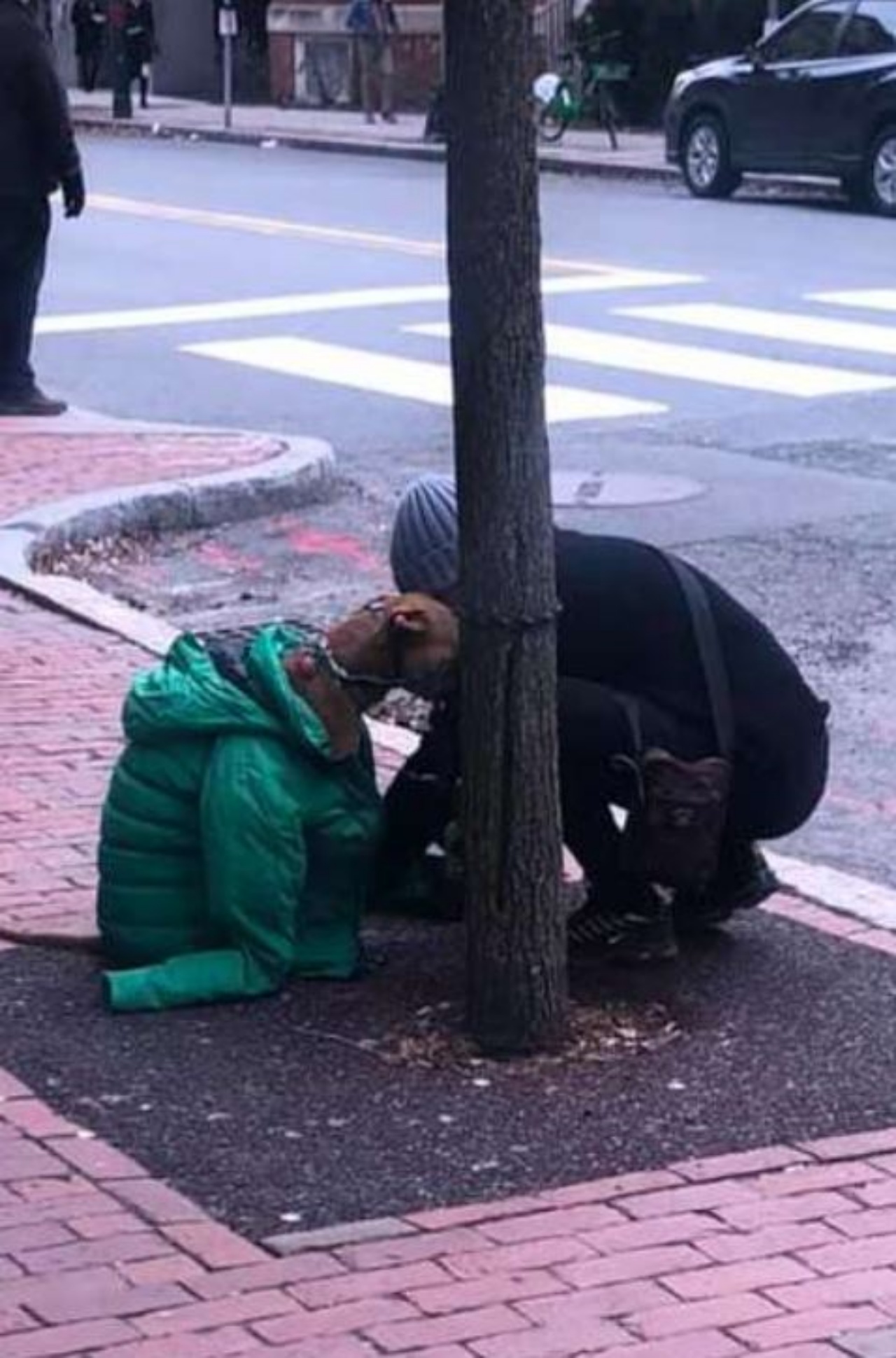 Un cane con la sua mamma