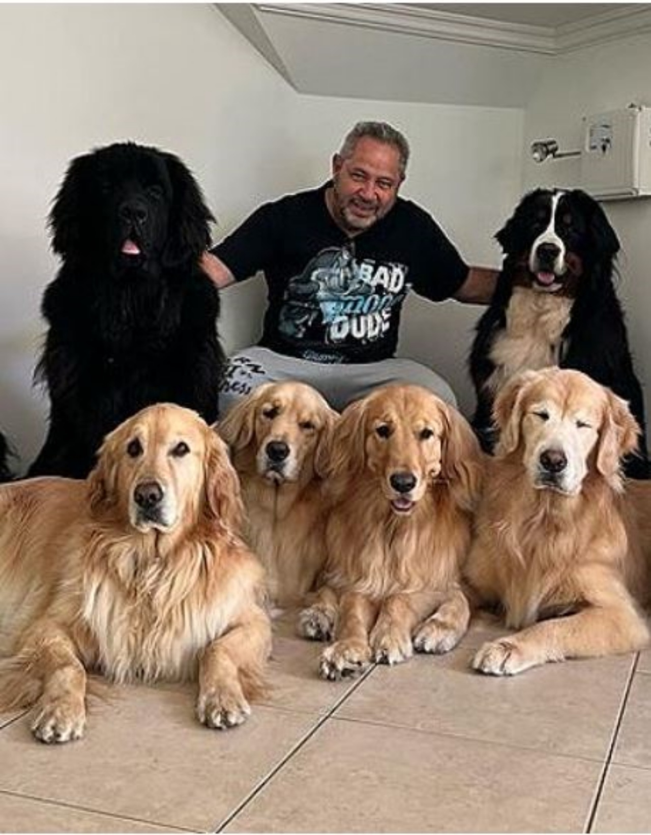 Dei cani in una foto con il loro papà adottivo