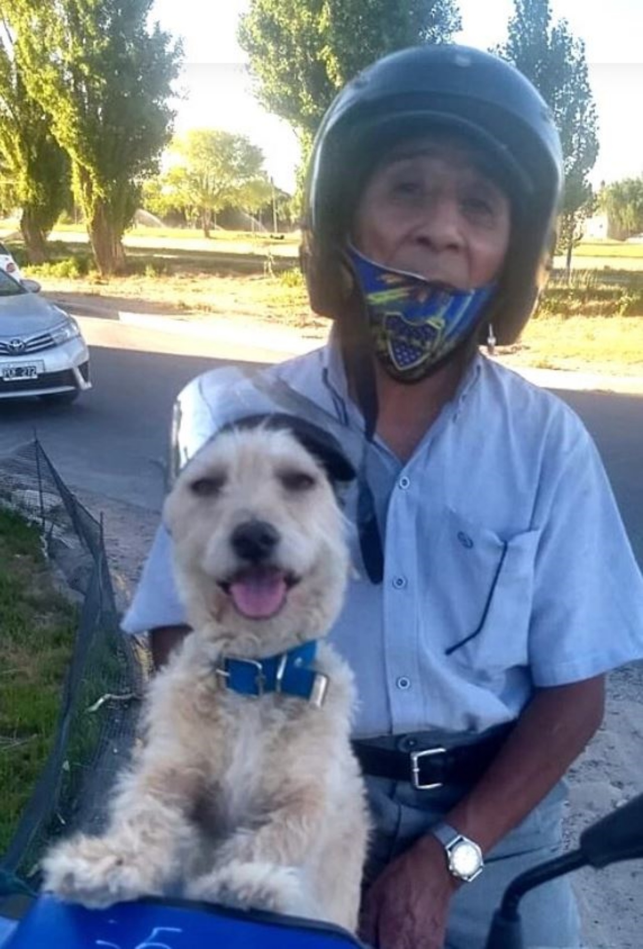 Un cane di nome Chelo in motorino con il suo papà adottivo