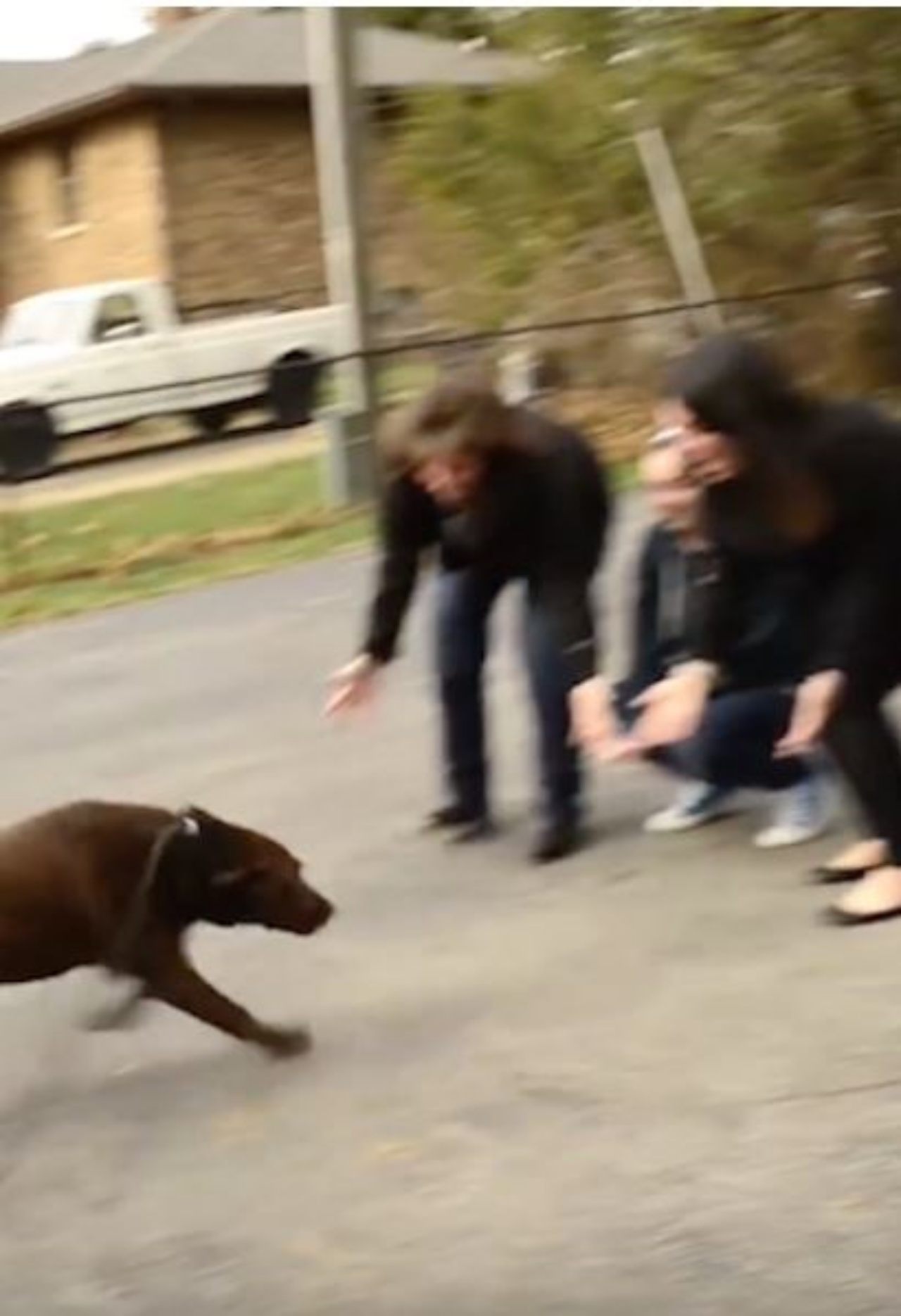 Un cane che riabbraccia di nuovo la sua famiglia