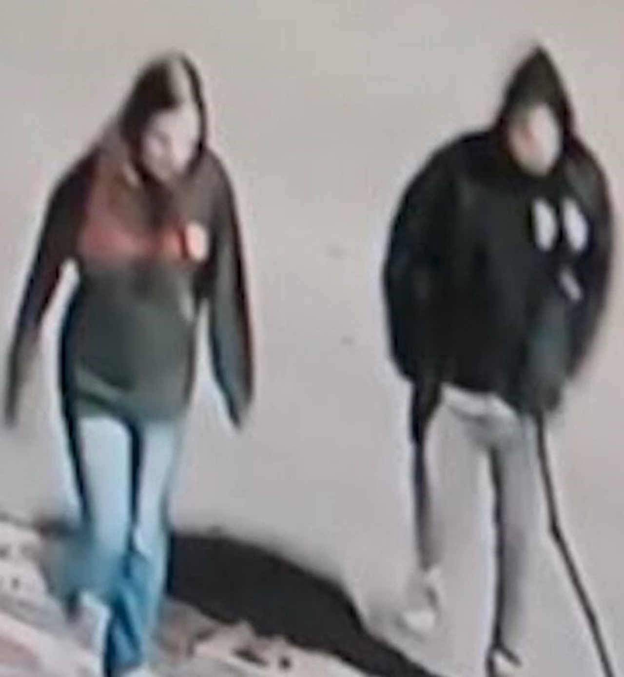 Due persone riprese dalle telecamere di sicurezza