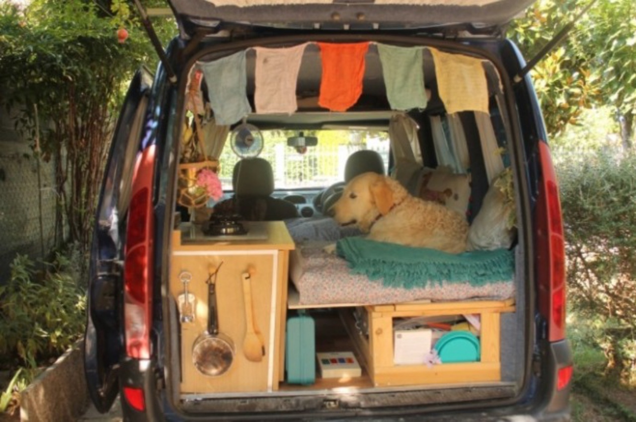 cane dentro la macchina della donna