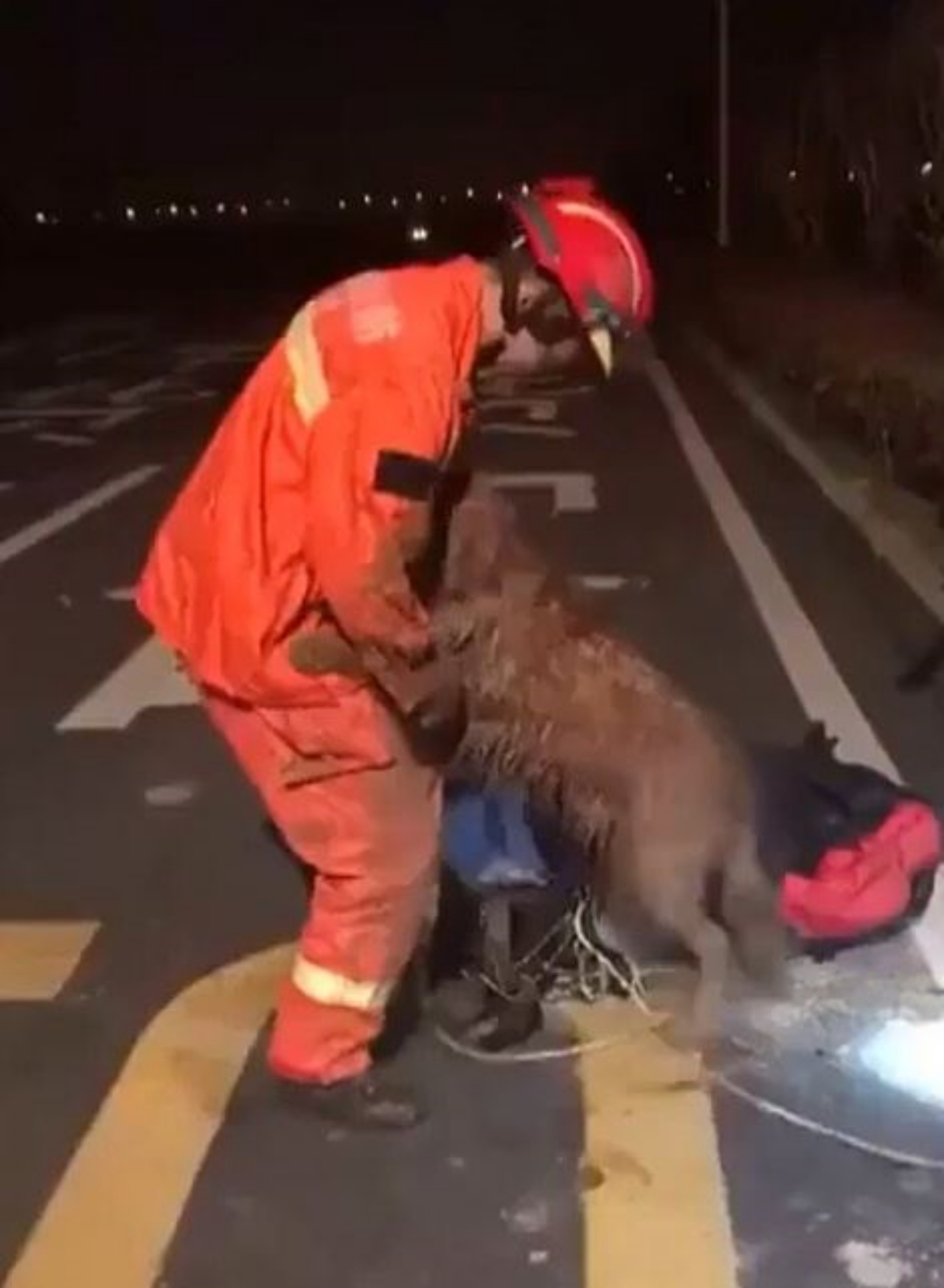 Un cane con un vigile del fuoco
