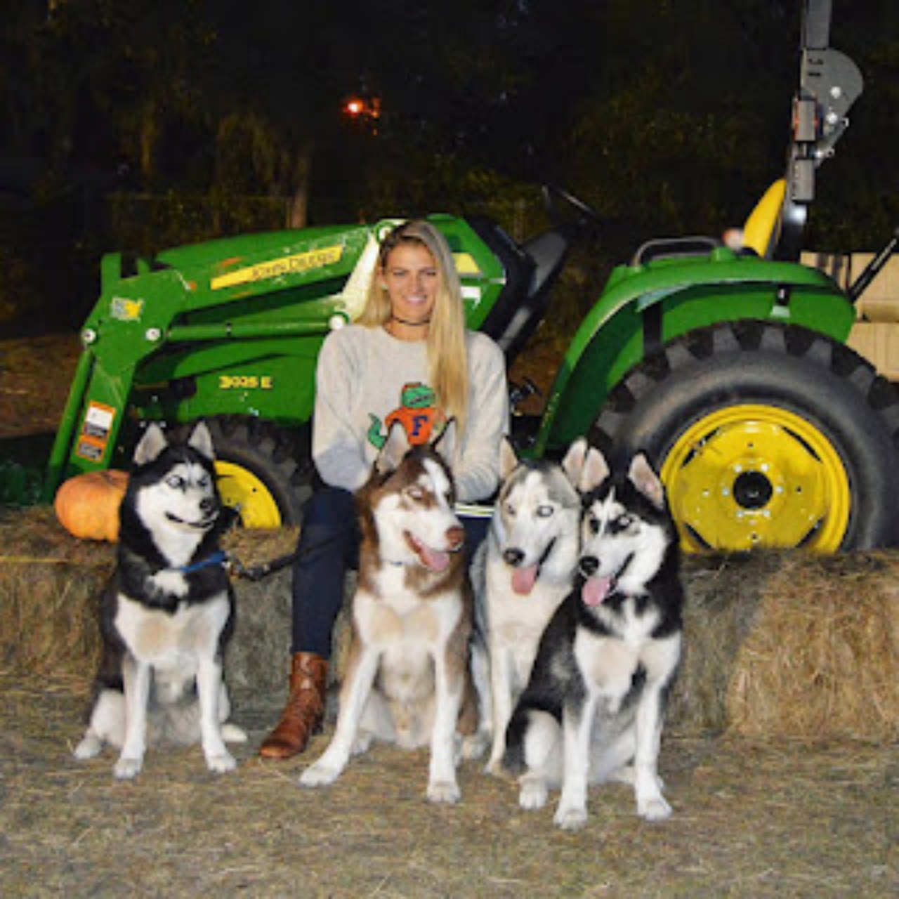 mamma husky e la cucciolata