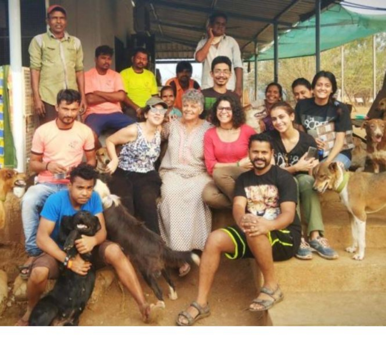 Dei volontari che salvano cani a Mumbai

