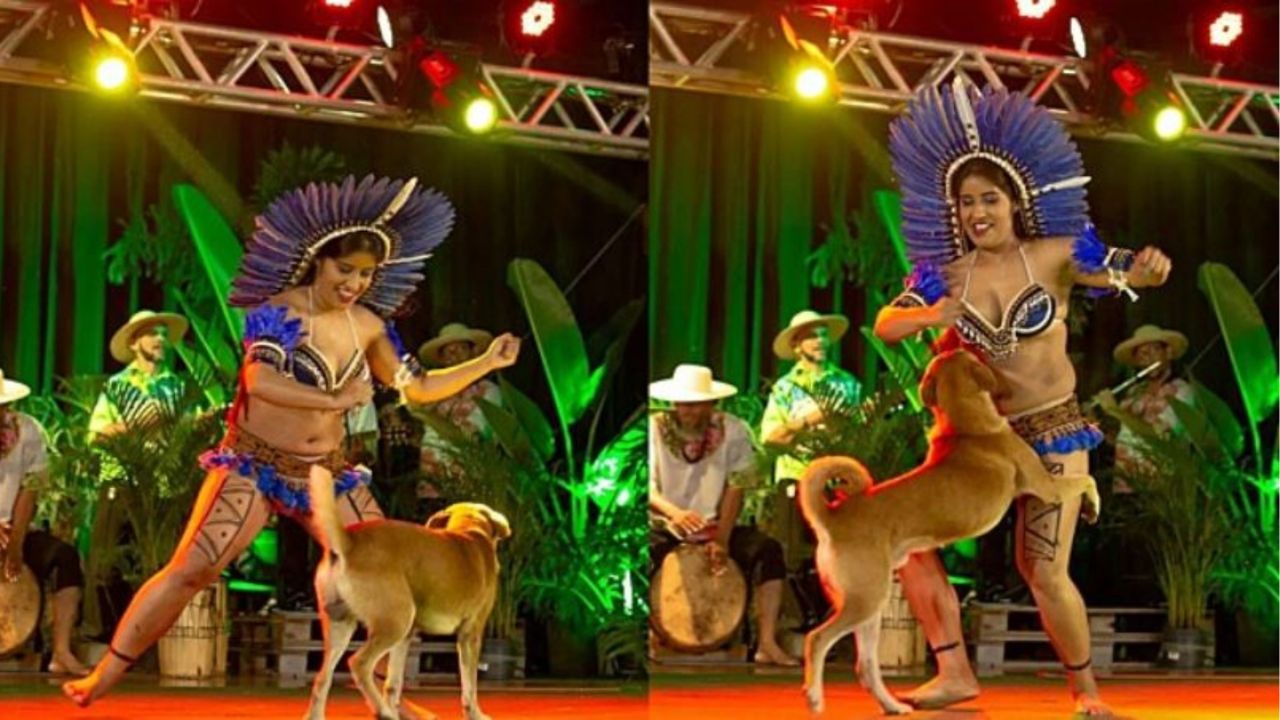 un cane che balla su un palco