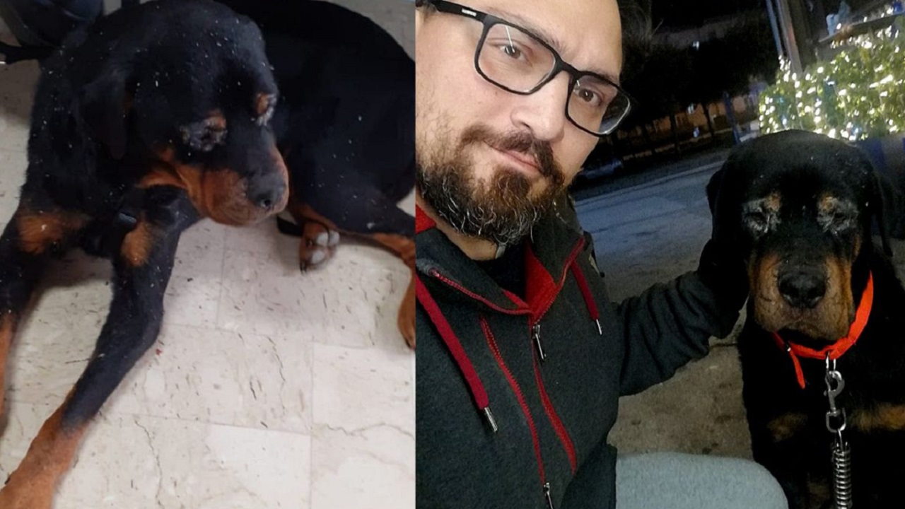 Rottweiler con il suo proprietario