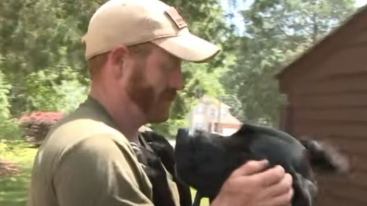 cane e suo salvatore