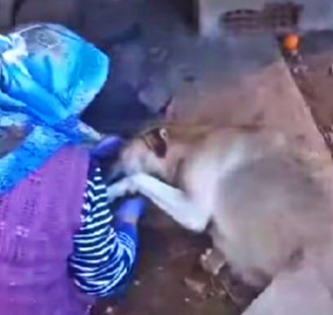 cagnolina e donna