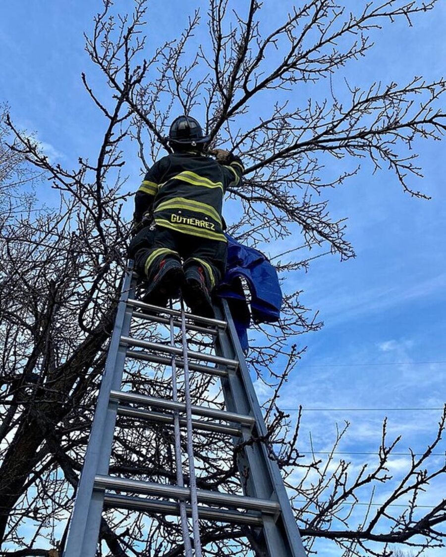 vigili del fuoco