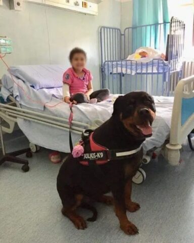 Dea, la cagnolona che fa tornare il sorriso ai bambini dell’Ospedale di Pisa