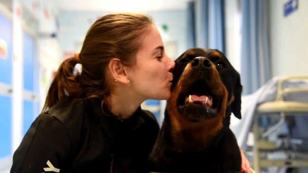 cagnolona e donna