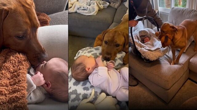 L’amore di Marlow per Emmy, la sua sorellina neonata, conquistano il cuore di milioni di persone