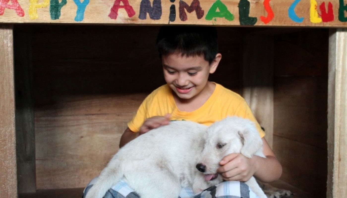 bambino apre rifugio per cani randagi